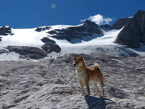 传奇再续:那些“传承”经典的年轻球员们,足坛十大年轻球员