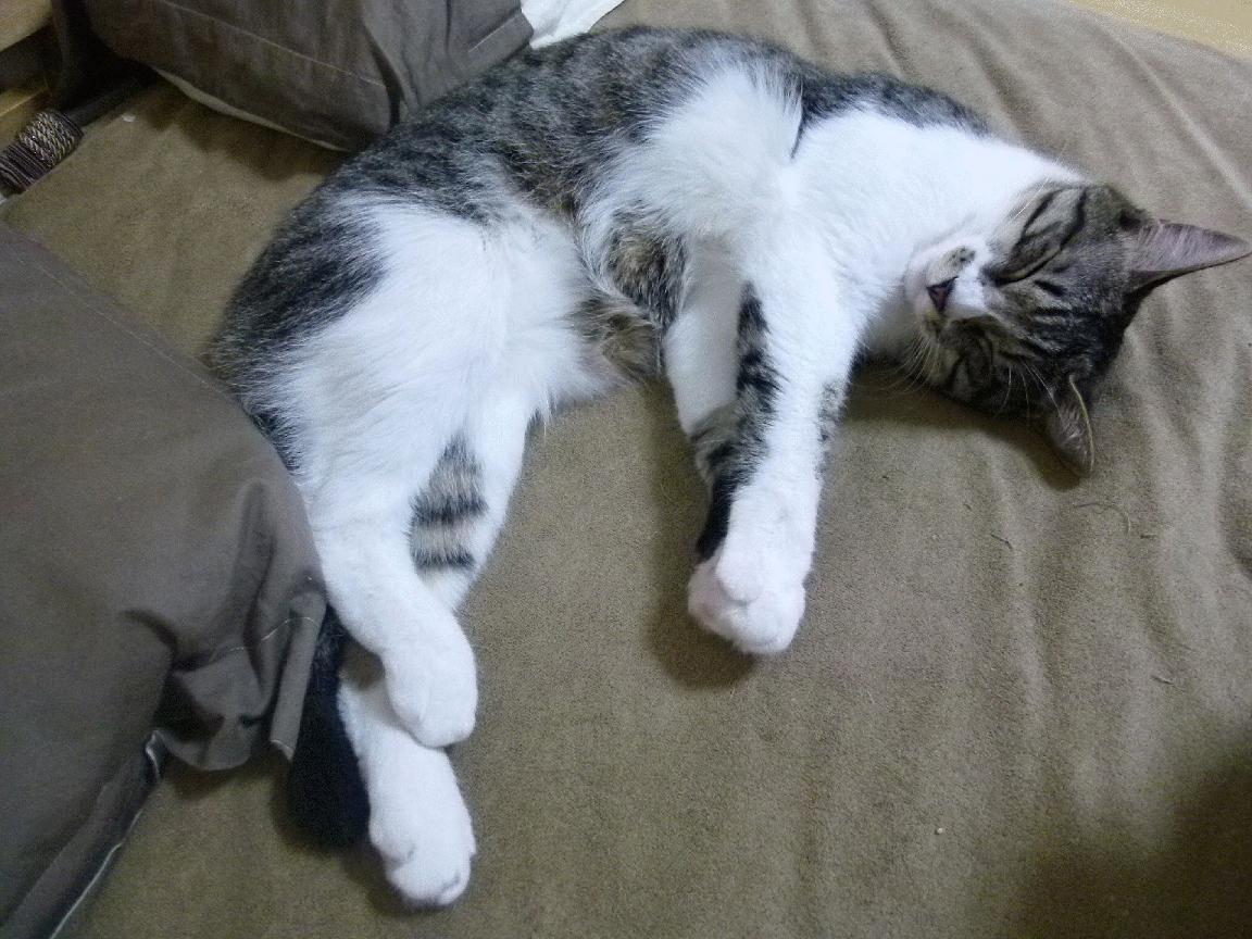 史上最佳的“超级六人组”是谁?(詹姆斯、杜兰特、欧文……)