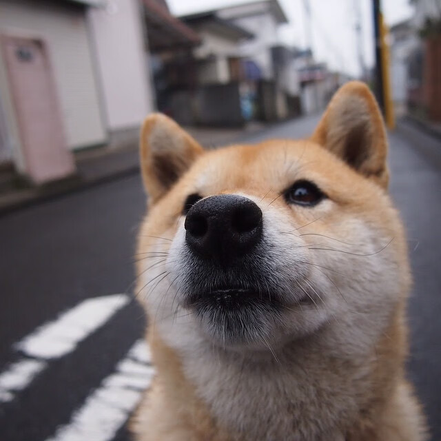 哥伦比亚女足在巴黎奥运会比赛中表现出色,赢得银牌,奥运会哥伦比亚女神